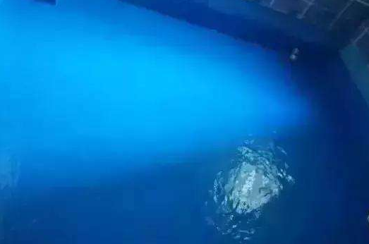 剛性防水怎么做,剛性防水材料常用有哪些?